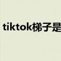 tiktok梯子是什么意思（tiktok是什么意思）