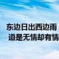 东边日出西边雨 道是无情却有情修辞手法（东边日出西边雨 道是无情却有情）
