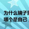 为什么镜子里的我比相机里好看（相机和镜子哪个是自己）