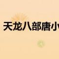 天龙八部唐小虎fc游戏（天龙八部唐门技能）
