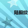 陆毅纹身图案 全图（陆毅纹身）
