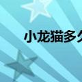 小龙猫多久可以和母猫分开（小龙猫）
