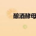 酿酒酵母的作用与功效（酿酒酵母）