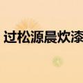 过松源晨炊漆公店其五（过松源晨炊漆公店）