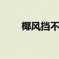 椰风挡不住是什么梗（椰风挡不住）
