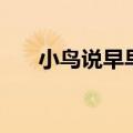 小鸟说早早早下一句（小鸟说早早早）