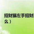 招财猫左手招财还是右手招财（招财猫左手招什么右手招什么）