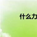 什么力尽四字成语（什么力争）