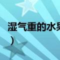 湿气重的水果排行榜（肾虚湿气重吃什么水果）