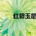红碧玉是什么级别的石头（红碧玉）