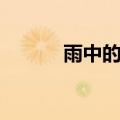 雨中的记忆歌词（雨中的记忆）