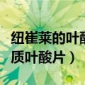 纽崔莱的叶酸片是活性叶酸吗（安利纽崔莱铁质叶酸片）