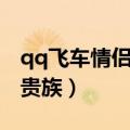 qq飞车情侣贵族宠物所有形态（qq飞车情侣贵族）