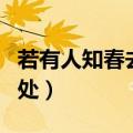 若有人知春去处