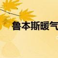 鲁本斯暖气片是贴牌吗（鲁本斯暖气片）
