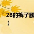 28的裤子腰围是多大（28的裤子腰围是多少）