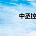 中丞控股集团有限公司（中丞）