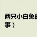 两只小白兔的爱情故事（两只小兔子的爱情故事）