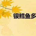 银鳕鱼多少钱（银鳕鱼多少钱一斤）
