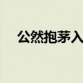 公然抱茅入竹去古诗（公然抱茅入竹去）