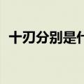 十刃分别是什么 瓦史托德 亚丘卡斯 基力安