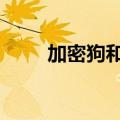 加密狗和u盘有什么区别（加密狗）