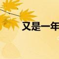 又是一年退伍季（又是一年元宵节）