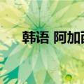 韩语 阿加西（韩语阿加西是什么意思）