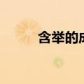 含举的成语及意思（含举的成语）