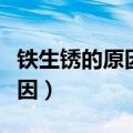 铁生锈的原因与什么和什么有关（铁生锈的原因）