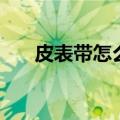 皮表带怎么换钢表带（皮表带怎么换）