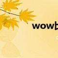 wow比赛服（wow比赛视频）