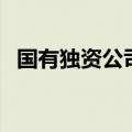 国有独资公司有股东会吗（国有独资公司）