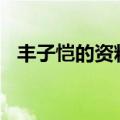 丰子恺的资料简介100字（丰子恺的资料）