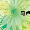 马卢达什么意思（马卢达）