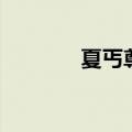 夏丐尊还是夏丏尊（夏丐尊）