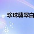 珍珠翡翠白玉汤是什么（白展堂白玉汤）