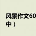 风景作文600字初中写人（风景作文600字初中）
