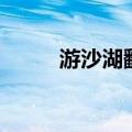游沙湖翻译及原文（游沙湖翻译）