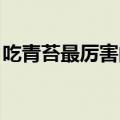 吃青苔最厉害的鱼 淡水（吃青苔最厉害的鱼）
