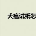 犬瘟试纸怎么用图解（犬瘟试纸怎么用）