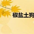 椒盐土狗子虫图片（土狗子虫图片）