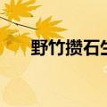 野竹攒石生的攒怎么读（野竹攒石生）