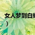 女人梦到白蛇什么预兆（女人梦见白蛇好不好）