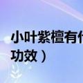 小叶紫檀有什么功效和作用（小叶紫檀有什么功效）