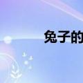 兔子的叫声英语（兔子的叫声）