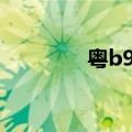 粤b99999是谁的车（粤b）