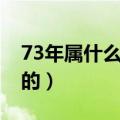73年属什么的生肖五行属什么（73年属什么的）