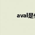 aval是什么意思（avast是什么）