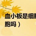 血小板是细胞产物还是活细胞（血小板是活细胞吗）
